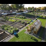 Photo aérienne du jardin Pierre-Lacroix